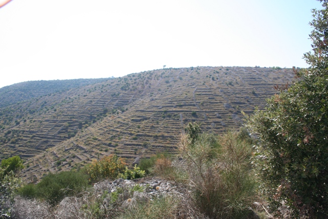 Terraced hillsides